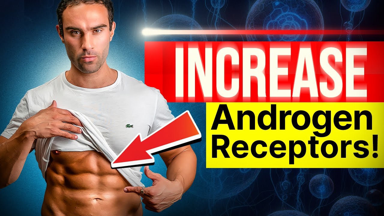 How To Increase Androgen Receptors!