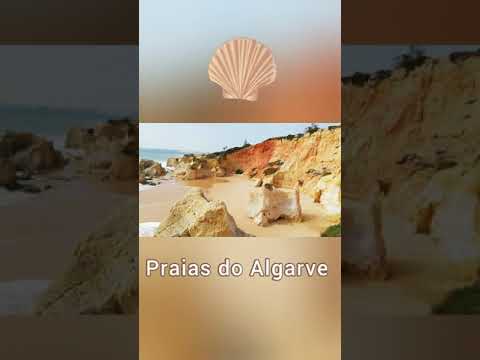 Shell fossils in the Algarve
