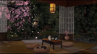 CHERRY BLOSSOM SPRING AMBIENCE : A Raining Evening in a Zen Garden with Fluttering Petals 🌸🌿