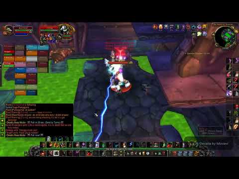 Wotlk Classic Shocking 25 Naxxramas Thaddius 25 Man - Druid Tank Pov