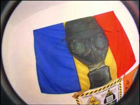 bocaseca - positive vibration