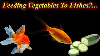 What Vegetables Can We Feed To Our Gold Fish And All Other Aquarium Fishes?... / Fish Aquarium Tamil