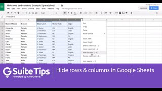 Hide rows and columns in a Google Spreadsheet / G Suite Tips