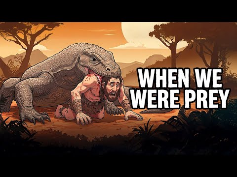 Megalania: The Giant Lizard That Hunted Humans