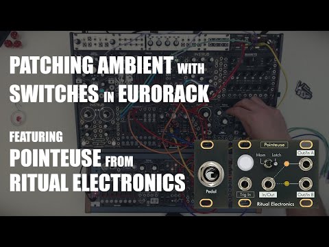 Ritual Electronics Pointeuse Footswitch Adapter / Switch - Intellijel 1U image 2