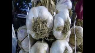 preview picture of video 'Lithovounia Garlic Festival'