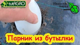 ⚡️ Сею огурцы, даже если земля ледяная! Урожай в 2 раза раньше и больше. Холод