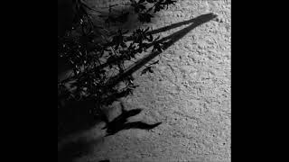 Vladimir's Blues - The Blue Notebooks (2004)