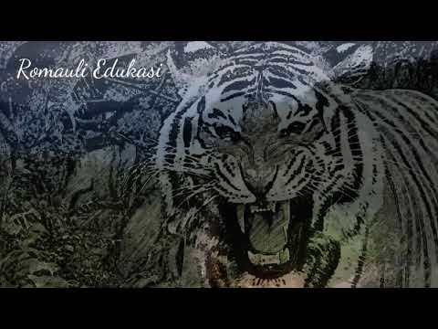 legenda babiat si telpang sejarah siraja loktung