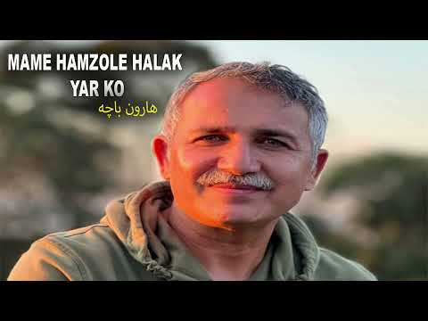 Mame Hamzoly halak yar ko| مامي همزولې هلک يار کو | Haroon Bacha Pashto New Song .