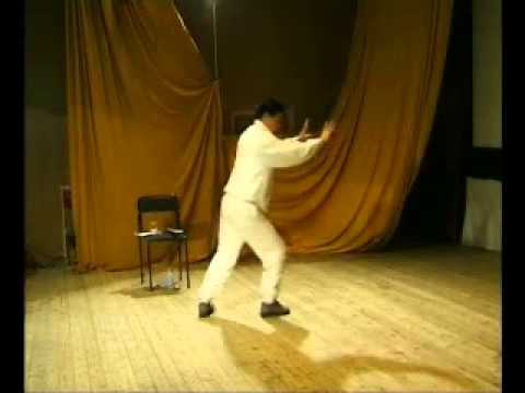 QigongTaichiYang 13Forms