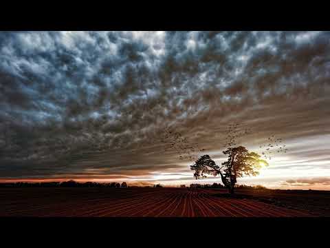 MODERN COUNTRY | Malena Stark Feat. Mia Niles - Loved You for a Lifetime | LYRICS IN D