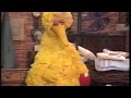 Sesame Street Ruthie And Elmo Sleepover At Big Bird S
