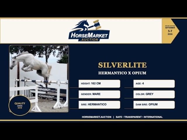 Silverlite