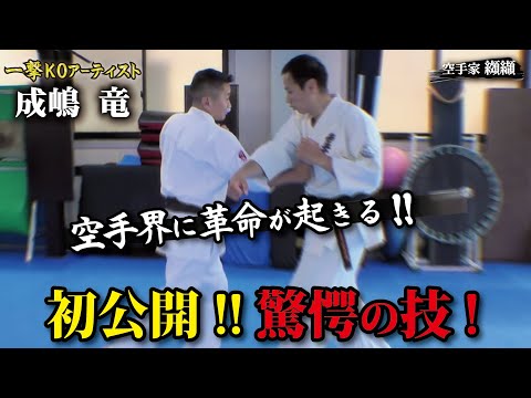 常識を覆す!!成嶋竜の最強期を支えたカウンターの秘訣に驚愕！