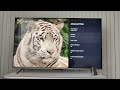 Телевизор Xiaomi Mi TV Q1E 55