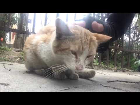 Thor, homeless in Downtown Los Angeles