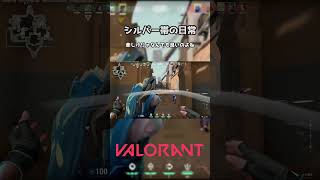 シルバー帯の日常#2 #Shorts