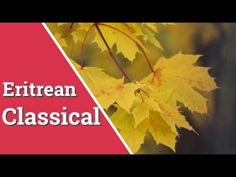 Eritrean Classical | Shekor |