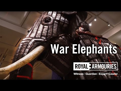 War elephants
