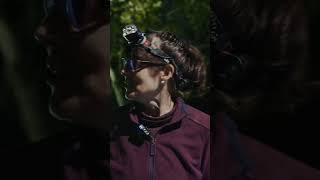 How Environmental Science Students Catch Bugs 🔦🐛🕷 #shorts #college #insects