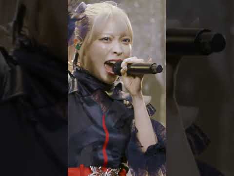 ♪ ハローハロー Live ver. #ringwanderung #live #idol