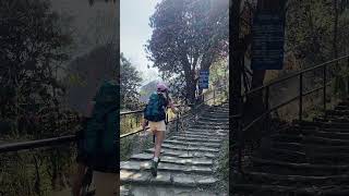 Download lagu Mardi Trek #trekking #struggle #walkthrough #refreshing #pain #gains #knowledge #power #peace mp3