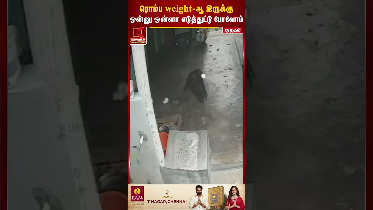 ரொம்ப weight-ஆ இருக்கு ஒன்னு ஒன்னா எடுத்துட்டு போவோம்.. | Perambalur | Crow Viral Video | #shorts
