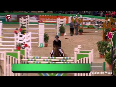 Falaise de Muze VDL Stud Stallionshow 2020