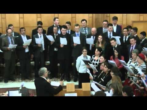 Aripi de-aş avea...