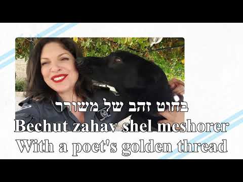 shevet achim va'achayot