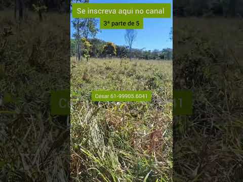 3ª Ótima fazenda de 18 alqueires em Padre Bernardo GO. #brasil ##agro #fazenda #gado #padrebernardo