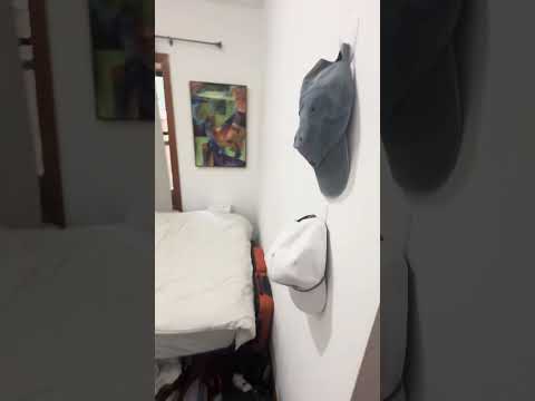 video 1