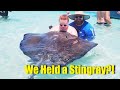 Carnival Cruise Excursion Stingrays Sea Turtles In Grand Cayman