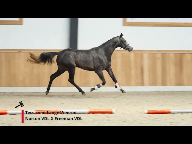 Tessa van Lange Weeren
