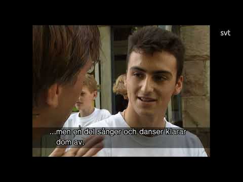 Ethno Sweden 1994 (on Swedish TV SVT)