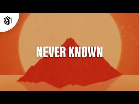 Sunlike Brothers - Never Known