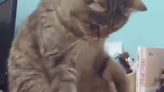 【握手w】どちらも嫌なんですwww