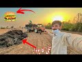 Sesame Farming Till Ki Kashet Till I Ki Kashit In Pakistan