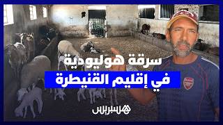 "سلاسل٫ سيوف وترهيب".. عصابة مدججة تسرق 80 رأس من الأغنام وأموال علاج بإقليم القنيطرة thumbnail