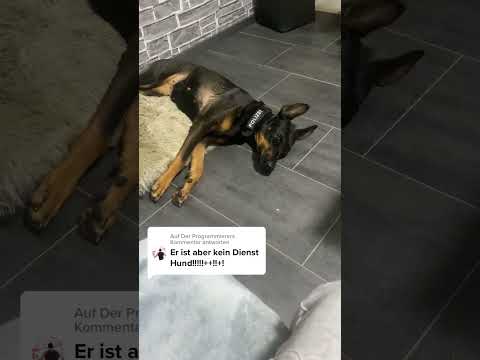 Alexa ist verwirrt.