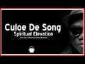 CULOE DE SONG SPIRITUAL ELEVATION HOUSE DJ SET