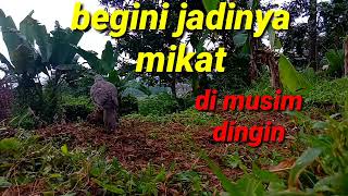 Download lagu Mikat di musim hujan efek nya bl jadi males mendekat mp3