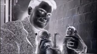 The Acacia Strain - Jonestown (Music Video)