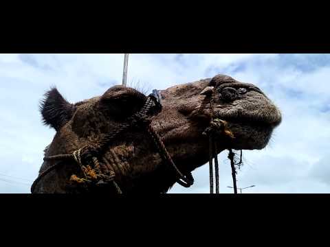 My dumas beach tour.....😊