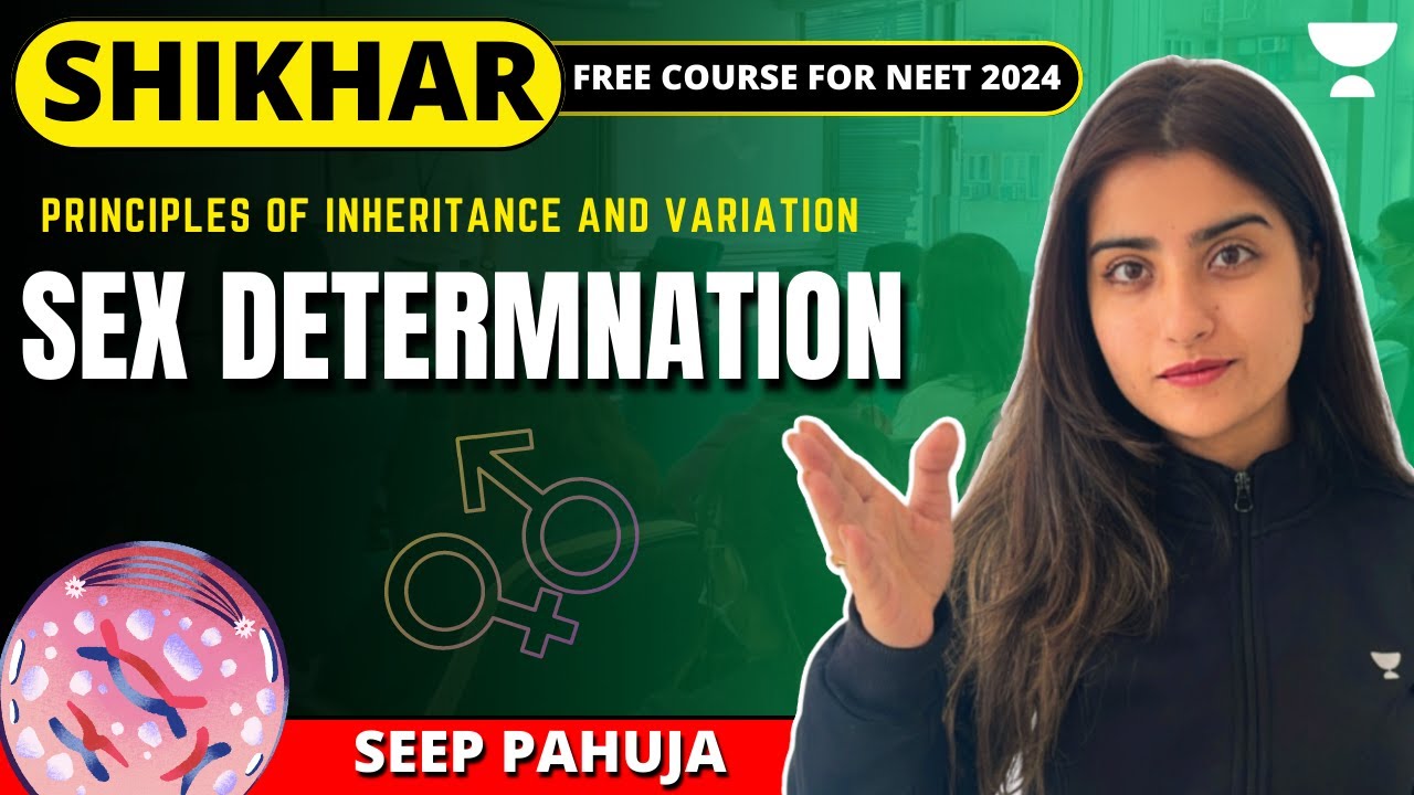 Sex Determination | L7 | Principles of Inheritance & Variations | NEET 2024 | Seep Pahuja