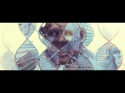 Metapologetics: Atheistic Evolution as Worldview—part 1 of 4