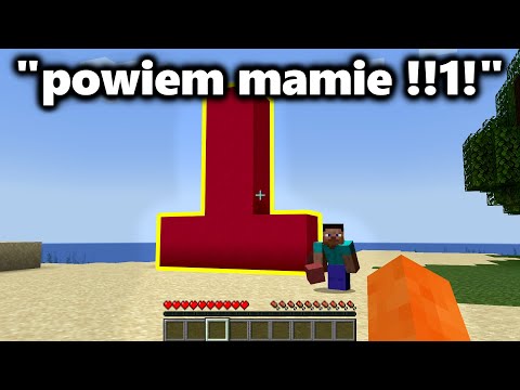 when you play Minecraft with your siblings