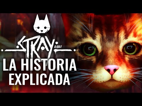 STRAY - LA HISTORIA OCULTA Y FINAL EXPLICADO