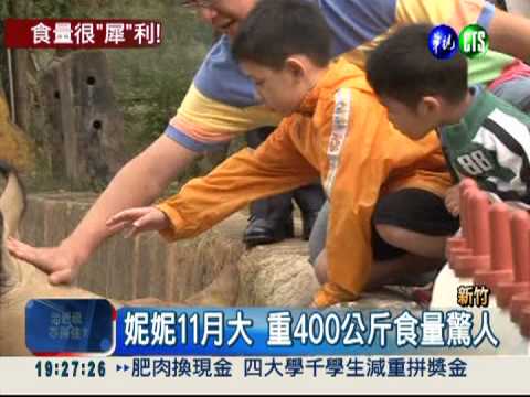 新竹野生動物園 犀牛妮妮超人氣